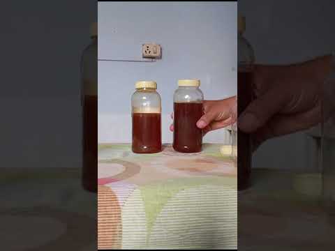 Pure Processed Natural Forest Bee Honey