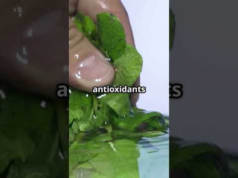 Fresh Mint Secrets You Won't Believe!