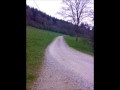 Follow that road