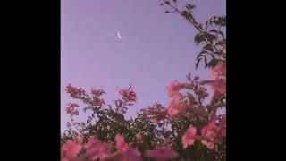 Download lagu Tie Me Down X Kaweni Merry Tiktok (Slowed) mp3