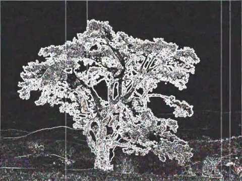 Kaleš bre Anđo - Vidak Milačić i Biljana Trmčić