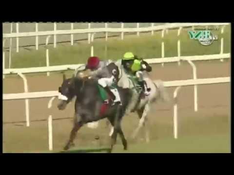 Sheikh Zayed Bin Sultan Al Nahyan Cup - Rome, Italy - 04 June 2017