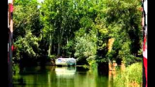 Concierto de  Aranjuez Herb Alpert CELYN RIQUE