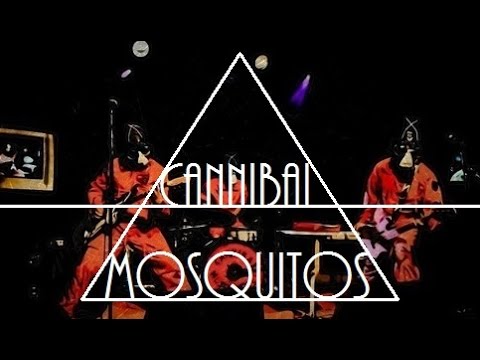 The Lode rencontre - Cannibal Mosquitos