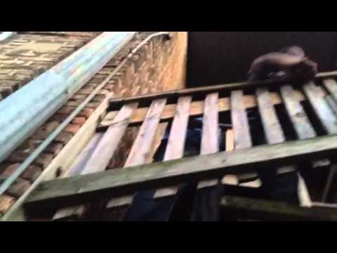 RTF presents OFF DA~ TOP~PreView