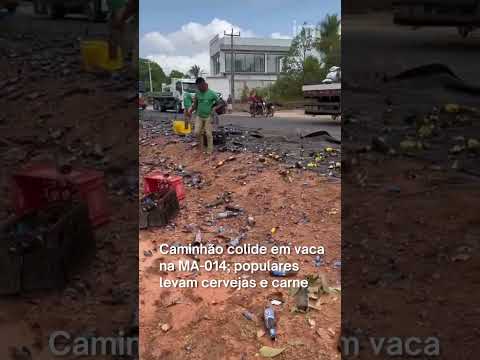 Caminhão colide em vaca e tomba na MA-014; populares levam carga de cerveja e carne do animal