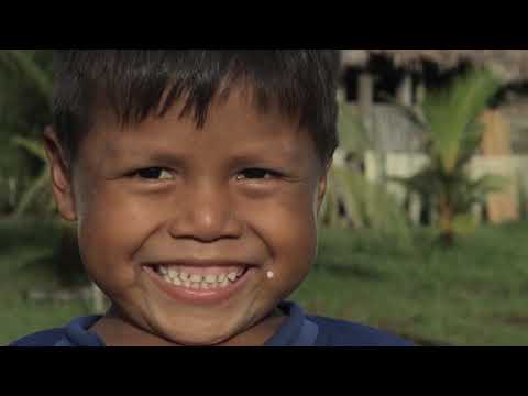 ZAFIRO Luxury Amazon Cruise | Jungle Experiences