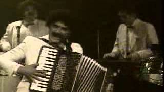 La Cosa Musicales - Tiburon