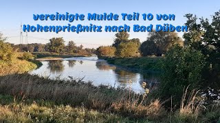 vereinigte Mulde Teil 10 von Hohenprießnitz nach Bad Düben