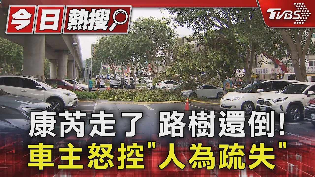 康芮走了路樹還倒! 車主怒控「人為疏失」