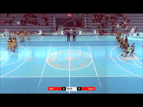 ADIEE/AVAI x IBBC -  Campeonato Estadual sub 12 e sub 13 masculino