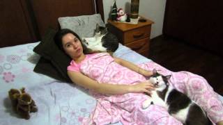 Por que os gatos gostam de dormir junto com a gente