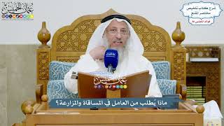 3964 - ماذا يُطلب من العامل في المساقاة والمزارعة؟ - عثمان الخميس