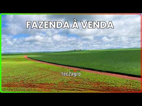 🌱 3.325 ALQUEIRES - FAZENDA À VENDA EM GOIÁS [🌱DUPLA APTIDÃO] #fazenda #tec2agro