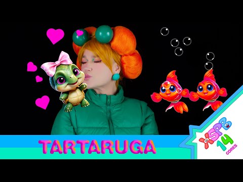 Video thumbnail for TARTARUGA
