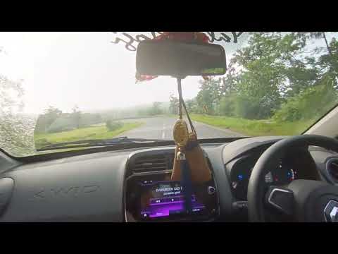 AMAZING VIEW OF NATURE ⛈️🌲🌲🌳🌴