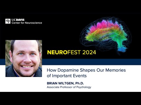 Brian Wiltgen, Ph.D. — How Dopamine ShapesOur Memories of Important Events