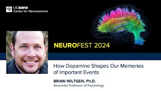 Brian Wiltgen, Ph.D. — How Dopamine ShapesOur Memories of Important Events