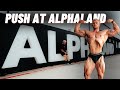 Alphaland - The Best Gym in the World? Push with IFBB Pro Josh Bridgman and Lewy Blackmore