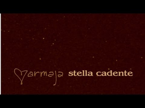 MARMAJA - Stella cadente (official videoclip)