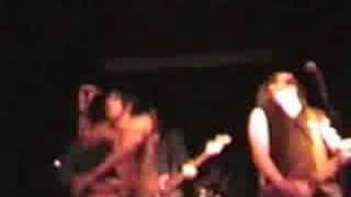 Adult Oriented Punk - New Loafers