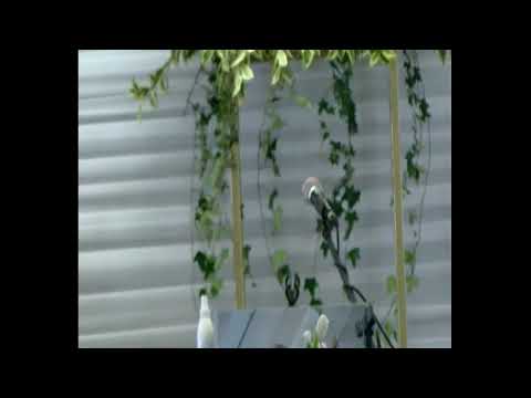 Funeral Service of Dr Bonginkosi Thusi at the Full Gospel Church