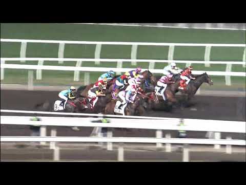 電子寶貝21/12/29……(290)第一塲五班1200泥