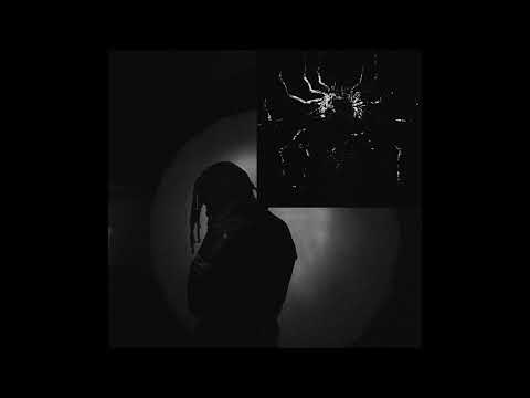 playboi carti - new n3on [destxmido remix]