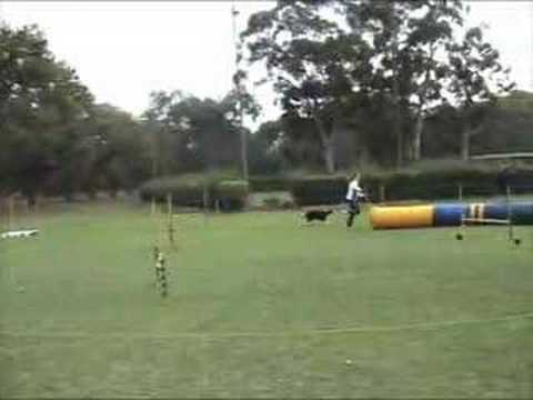 Ness Masters Jumping SAODC 13 April 2008