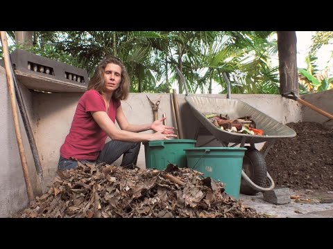 Compostagem Simples (transforme lixo orgânico em terra)