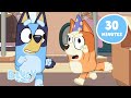 Party With The Heelers 🪩 Bluey Fun Dances And Song Games 30 MINUTES Bluey