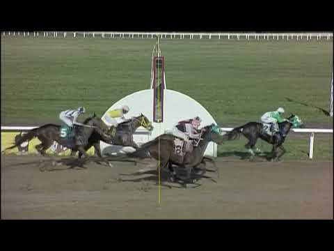 SINT PAYSANDU - 230525 c07 - 1° NEW RULES