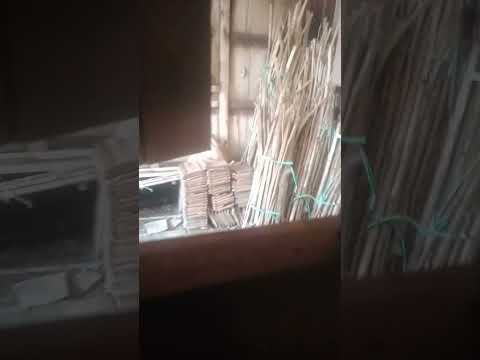 lagi buka-bukaan pasangan remaja di grebek #viral #viralvideo #trandingnow