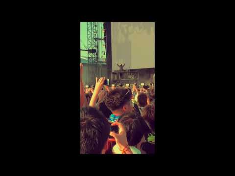 Hymn Hor The Weekend(Alan Walker Remix)