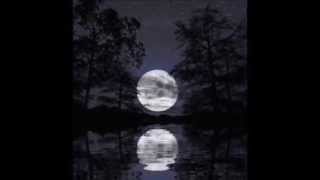 Jagathi Niralo Maro Saawariyo song artwork