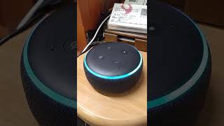 Siriで隠しコマンドの動画を見たからAlexaでも試してみた