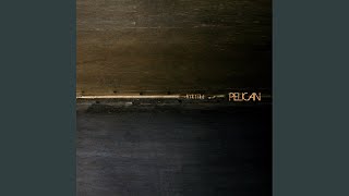 Dead Between the Walls/Mammoth