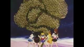 She&#39;s Got the Power/ [Sailor Moon]