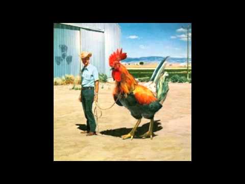 Balkan Hotsteppers - N.O.H.A. vs. Dizzee Rascal - Pussy'ole Café