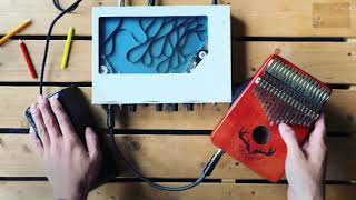 Video thumbnail for Vocu VTE-2000 analog tape echo by KETA RA