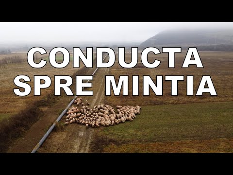 Zbor peste șantierul noii conducte de gaze spre Mintia