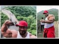 Roelly 