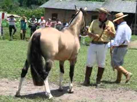 OS SERRANOS CANTO ALEGRETENSE
