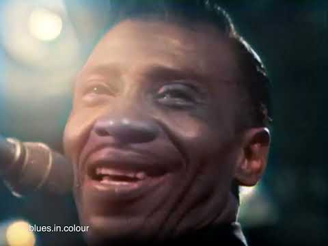 T Bone Walker (with Dizzy Gillespie's Band) - 'Woman You Must Be Crazy' live [Colourised] 1966