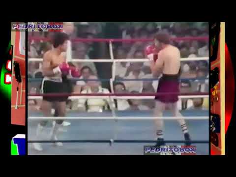 21-JUNIO -1980,SALVADOR SÁNCHEZ VS DANNY " EL COLORADITO" LOPEZ,LA SEGUNDA PELEA II