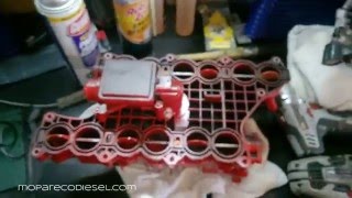 Ecodiesel cleaned intake and nasty intake runners.