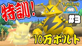 #3【ピカチュウの10万ボルトを特訓だ！】つどいのひろばで色んなポケモンに会おう【ポケパークWii実況】