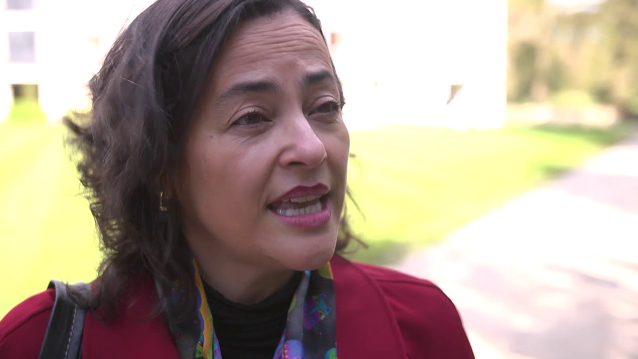 Interview with Professor Walderez Dutra, Federal University of Minas Gerais, Brazil, Cambridge Afric