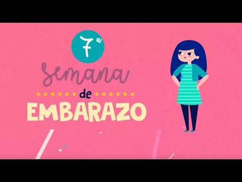 ¡Aquí tienes el Dibu 7 del embarazo!