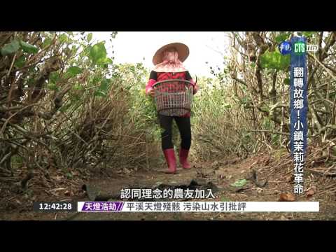 無毒"茉莉花革命" 花壇鄉發光